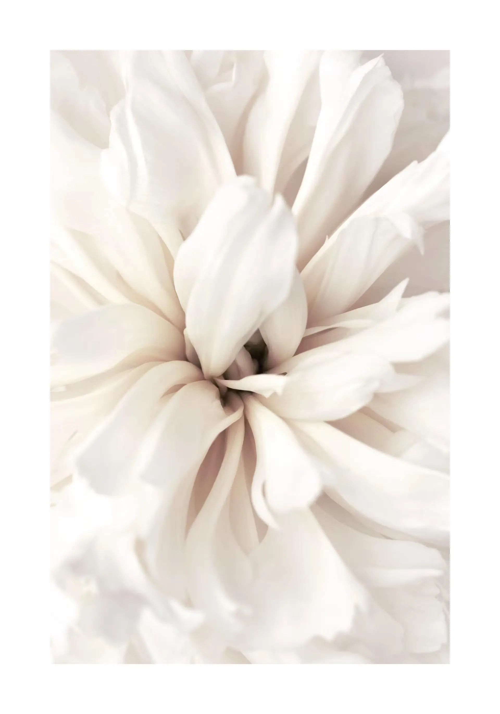 Beige Flower Grass Scenery Wall Art