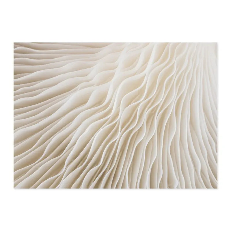 Boho Abstract Matisse Beige White Line Wall Art Poster  Minimalist Canvas Paintings Print Picture for Living Room Interior Ho