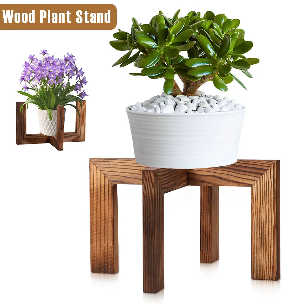 Modern Plant Holder
