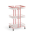 Aesthetic Salon Trolley Organizers Trolleys Salon Furniture Professional Aesthetic Tools Chariot Carritos Organizadores
