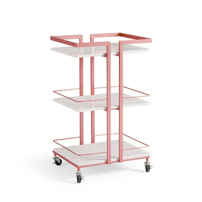 Aesthetic Salon Trolley Organizers Trolleys Salon Furniture Professional Aesthetic Tools Chariot Carritos Organizadores