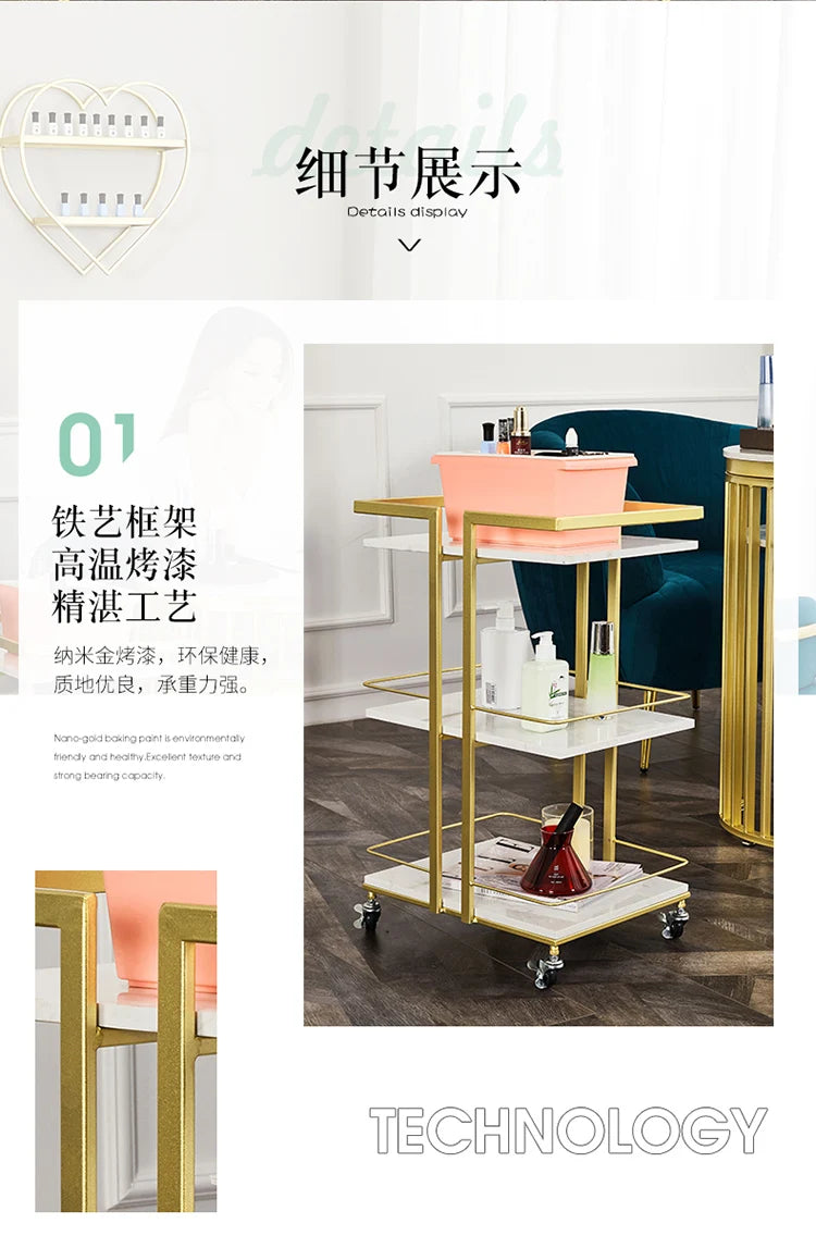 Aesthetic Salon Trolley Organizers Trolleys Salon Furniture Professional Aesthetic Tools Chariot Carritos Organizadores