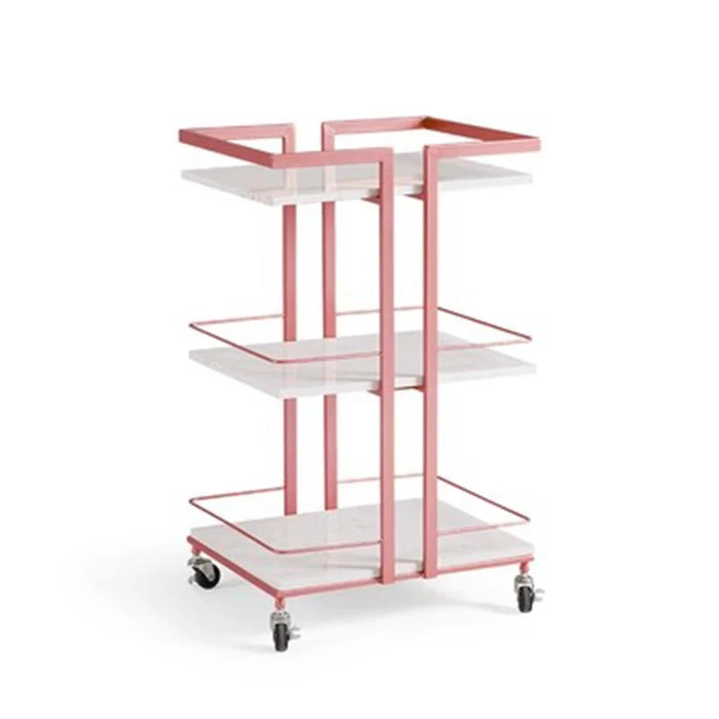 Aesthetic Salon Trolley Organizers Trolleys Salon Furniture Professional Aesthetic Tools Chariot Carritos Organizadores