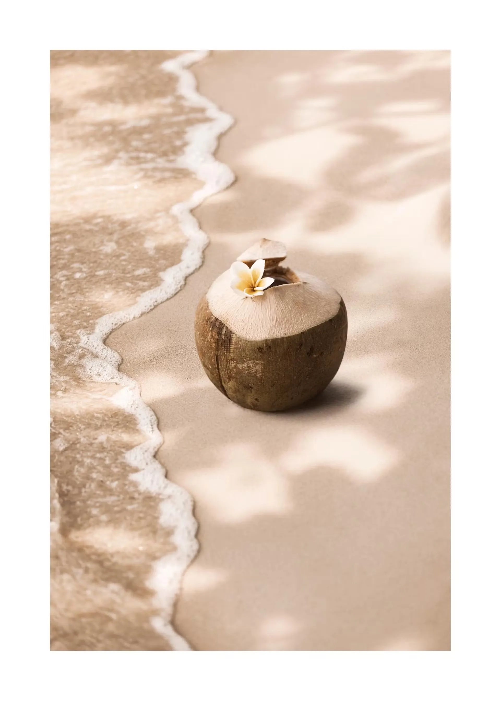 Beige Flower Grass Scenery Wall Art